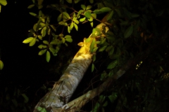 20190224141257_P2240463