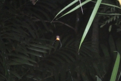 20190224145157_P2240470