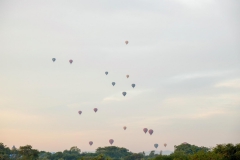 LRM_EXPORT_1467764690994_20190123_201723235