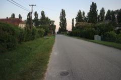 IMG_1867
