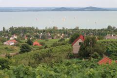 IMG_1847