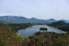 IMG_4258-scaled