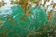 IMG_4266-scaled