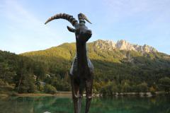 IMG_4305-scaled