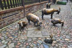 20250616_180158-Kopie