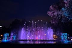 IMG_2540