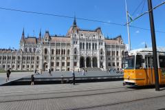 IMG_2262