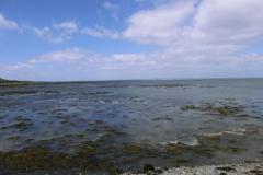 CIMG0628