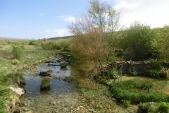 CIMG0646
