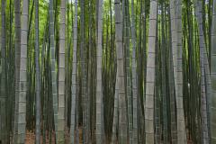 20250921_124446