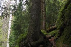 IMG_9668-rotated