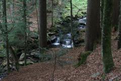 IMG_9712