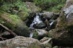 IMG_9729