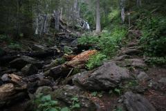 IMG_9738