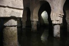 IMG_9980