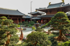 LRM_EXPORT_2099784750958_20190221_210103450