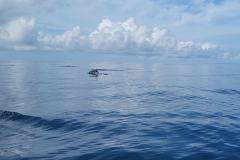 20240501_091532-frame-at-0m8s