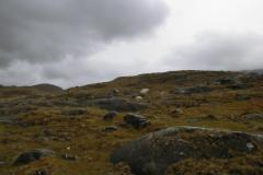 CIMG0831
