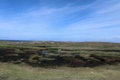 CIMG0768