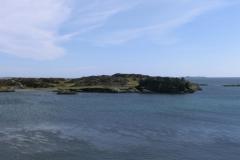 CIMG0785