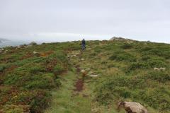 IMG_8974-1