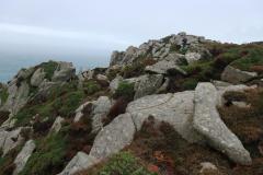 IMG_8978-1