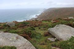 IMG_8982-1