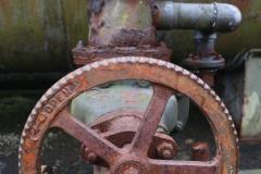 IMG_8990-rotated