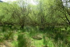 1_CIMG0471