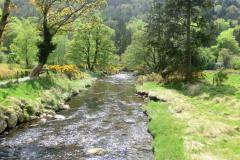 CIMG0468