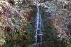 CIMG0474
