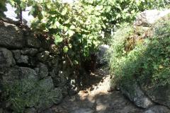 CIMG4849