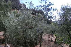 CIMG4924