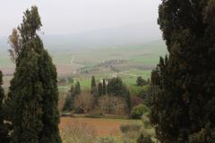 IMG_1155