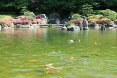 IMG_0714