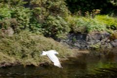 IMG_7396
