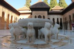 IMG_0786