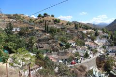 IMG_0700