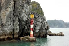 IMG_8795-scaled