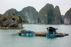 IMG_8816-scaled