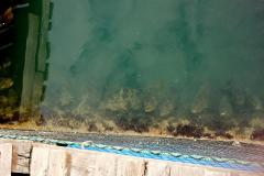 IMG_8933-scaled