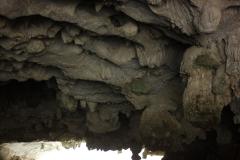 IMG_8869-scaled