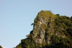 IMG_8889-scaled