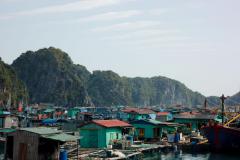 IMG_8975-scaled