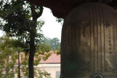 IMG_8310-scaled