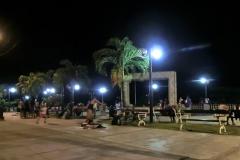 CIMG6981
