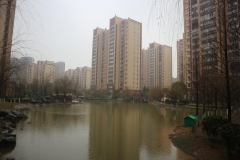20190203081715_IMG_6464