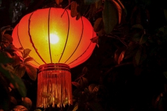 LRM_EXPORT_1100350698003_20190214_172605925