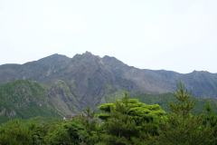 DSCF9412