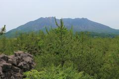 IMG_1307